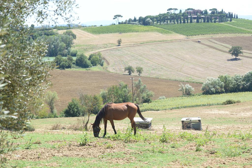 Farina Castiglione del Lago