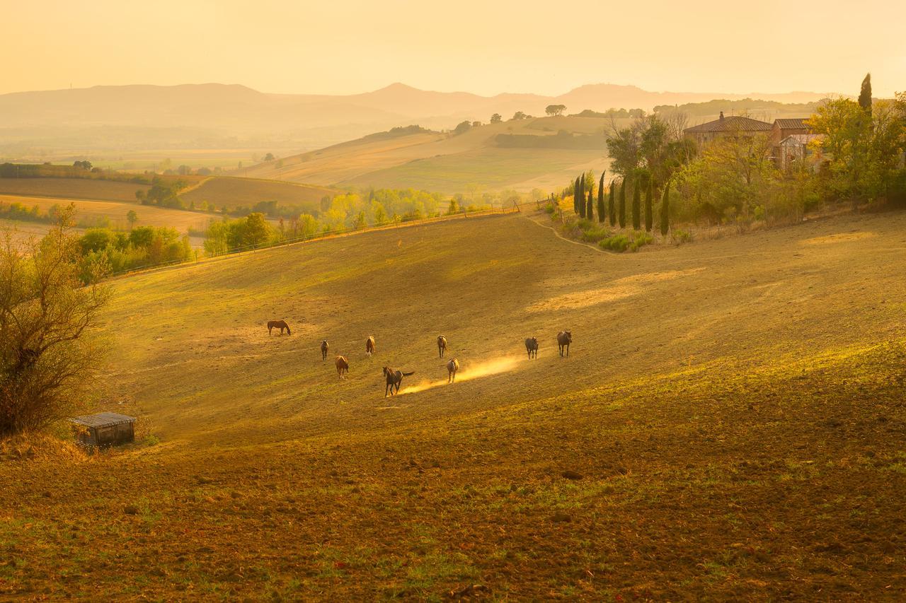 Farina Vakantieboerderij Castiglione del Lago